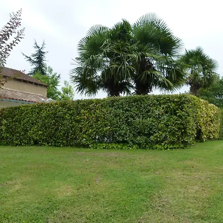 Confortable Proche D'ornézan Avec Piscine Privée Villa